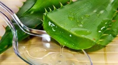 aloe, hogy növelje a férfiak hatékonyságát